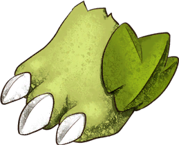Turtle Claw