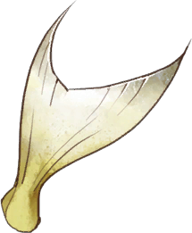 Island Fish Fin