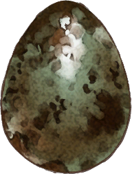 Unknown Egg
