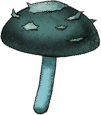 Darkshroom