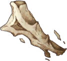 Big Beast Bone