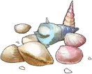 Pretty Shells