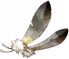 魔鳥の羽根