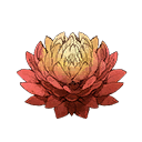 Solflower