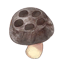 Parched Mushroom