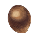 Palma Fruit